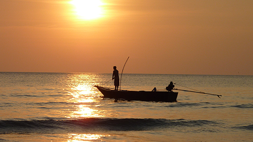 photo of man fishing at sunset