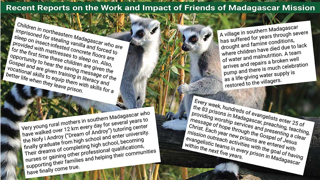 text boxes on background of lemurs in Madagascar forest