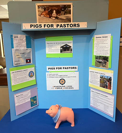 photo of trifold display board on table with pink piggy bank in front