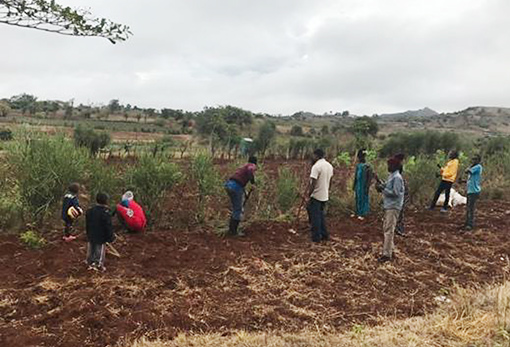 group of people planting trees in Kenya