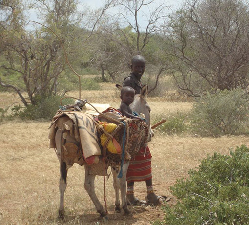 Kenyan man leading donkey loaded with supplies and child riding in pack basket