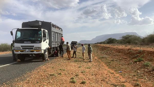 Lorry with men standing beside it in desert region  while men fix broken wheel