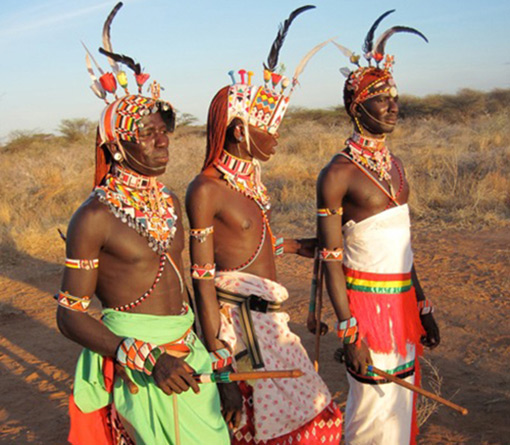 3 Samburu warriors dressed in colorful clothing, wearing elaborate headdresses and elaborate neck pieces