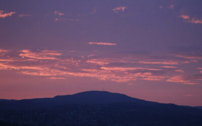 MOUNT CARMEL & WMPL