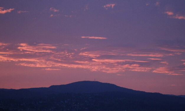 MOUNT CARMEL & WMPL