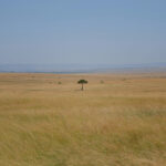 EVANGELISM IN MADAGASCAR