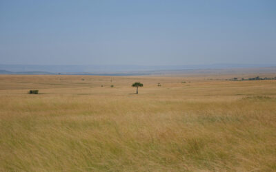 EVANGELISM IN MADAGASCAR