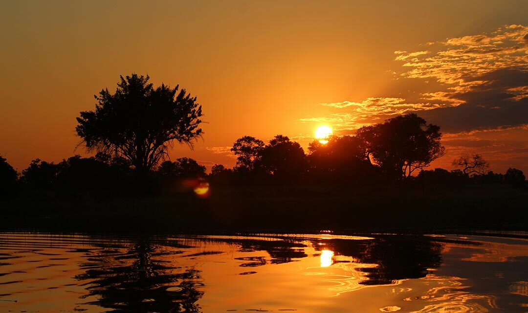 CARRYING THE WORD FORWARD