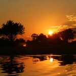 CARRYING THE WORD FORWARD