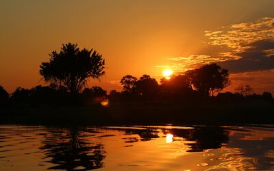 CARRYING THE WORD FORWARD