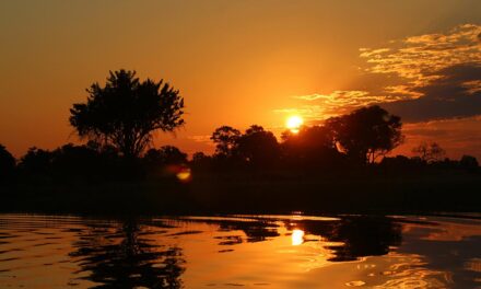 CARRYING THE WORD FORWARD