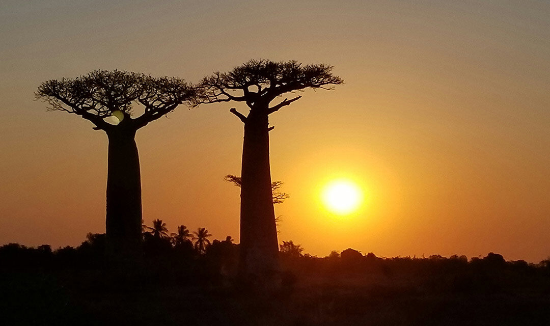 THE CALLING OF PATRICIA BENTSEN