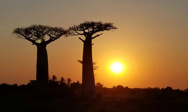 THE CALLING OF PATRICIA BENTSEN